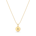 StarBurst Round Pendant - NP2